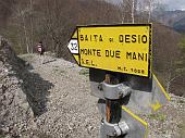 duemani 394